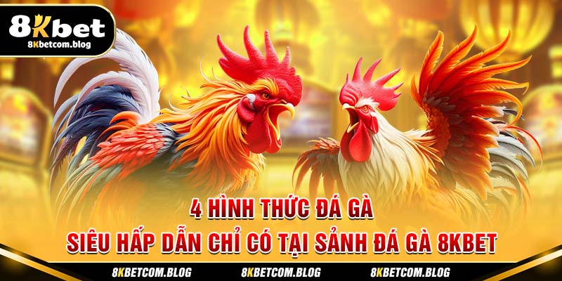 4 hình thức đá gà siêu hấp dẫn chỉ có tại sảnh đá gà 8KBET