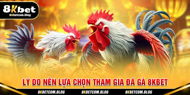 Lý do nên lựa chọn tham gia đá gà 8KBET